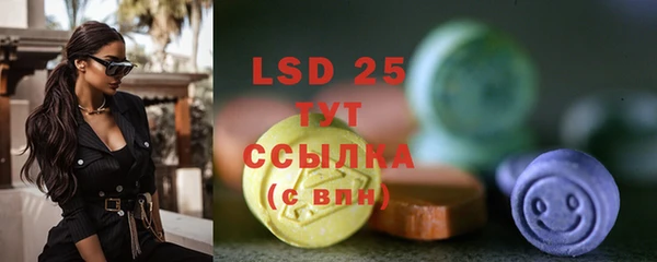 ECSTASY Новодвинск