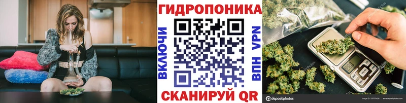 Бошки марихуана THC 21%  Шарья 